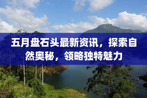 五月盘石头最新资讯，探索自然奥秘，领略独特魅力
