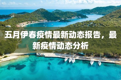 五月伊春疫情最新动态报告，最新疫情动态分析