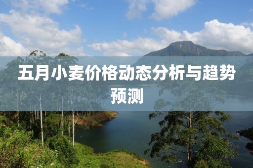 五月小麦价格动态分析与趋势预测