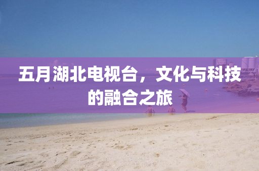 五月湖北电视台，文化与科技的融合之旅