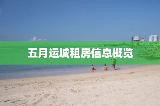 五月运城租房信息概览