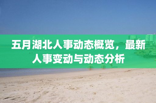 五月湖北人事动态概览，最新人事变动与动态分析