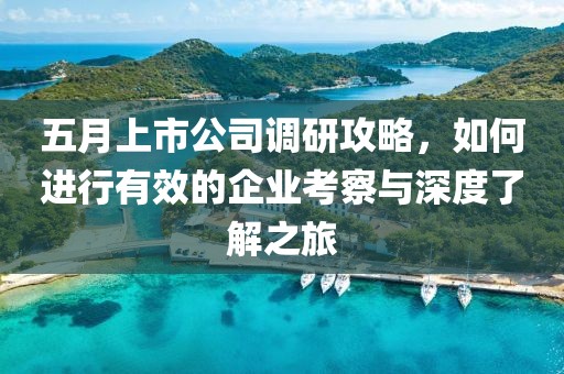 五月上市公司调研攻略，如何进行有效的企业考察与深度了解之旅