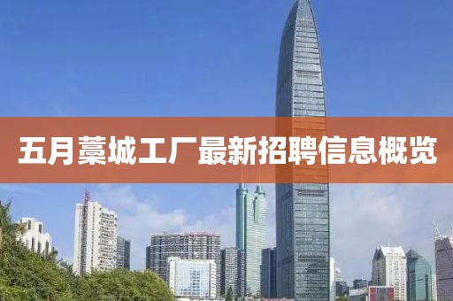 五月藁城工厂最新招聘信息概览
