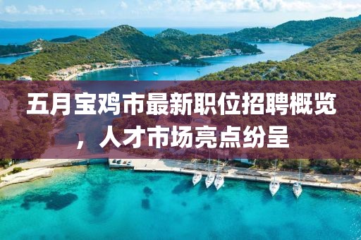五月宝鸡市最新职位招聘概览，人才市场亮点纷呈