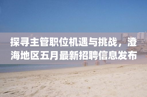 探寻主管职位机遇与挑战，澄海地区五月最新招聘信息发布