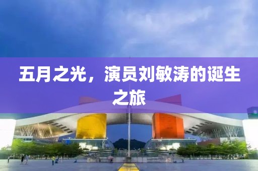 五月之光，演员刘敏涛的诞生之旅