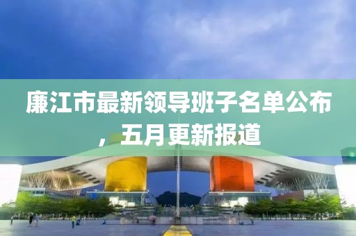廉江市最新领导班子名单公布，五月更新报道