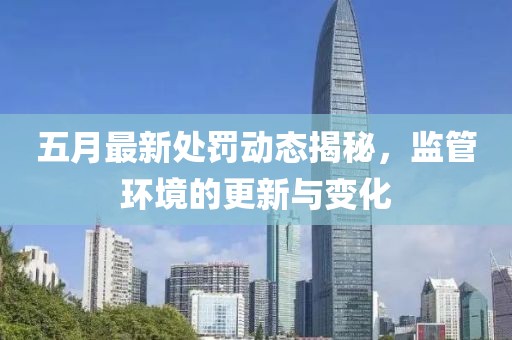 五月最新处罚动态揭秘，监管环境的更新与变化