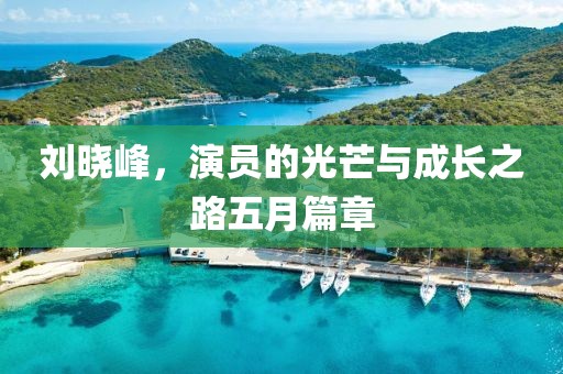 刘晓峰，演员的光芒与成长之路五月篇章