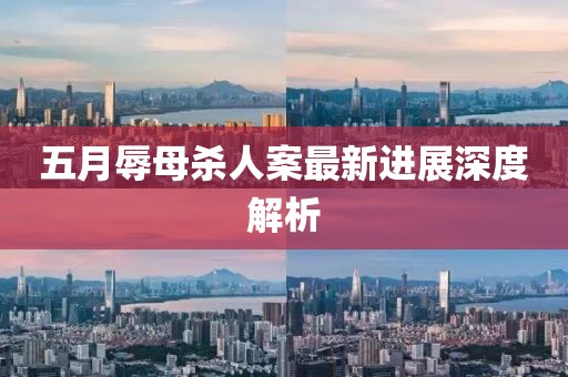 五月辱母杀人案最新进展深度解析