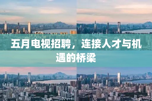 五月电视招聘，连接人才与机遇的桥梁