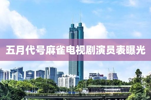 五月代号麻雀电视剧演员表曝光