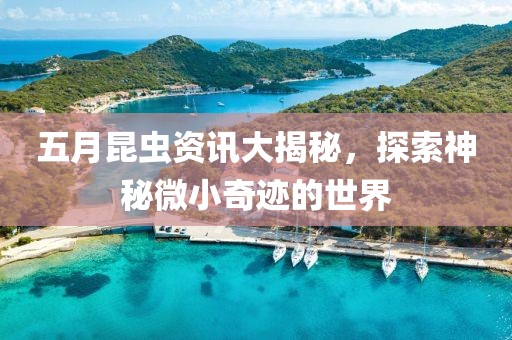 五月昆虫资讯大揭秘，探索神秘微小奇迹的世界