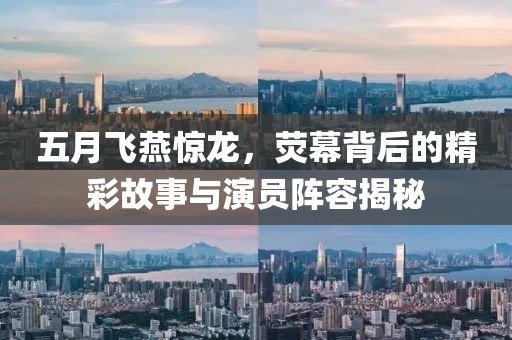 五月飞燕惊龙，荧幕背后的精彩故事与演员阵容揭秘