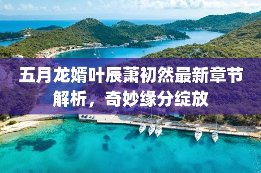五月龙婿叶辰萧初然最新章节解析，奇妙缘分绽放