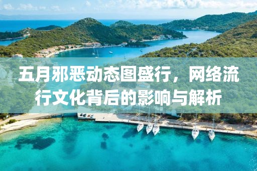 五月邪恶动态图盛行，网络流行文化背后的影响与解析