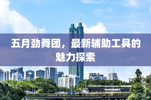 五月劲舞团，最新辅助工具的魅力探索