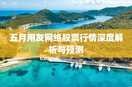 五月用友网络股票行情深度解析与预测