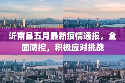 沂南县五月最新疫情通报，全面防控，积极应对挑战