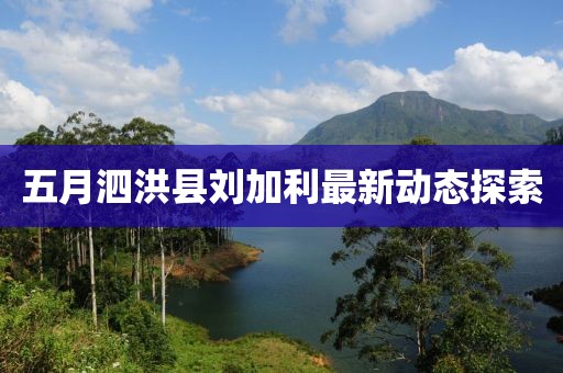 五月泗洪县刘加利最新动态探索
