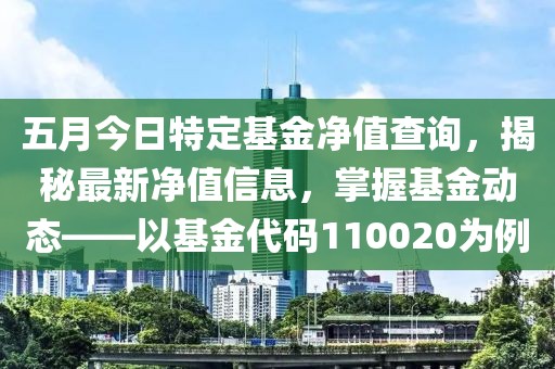五月今日特定基金净值查询，揭秘最新净值信息，掌握基金动态——以基金代码110020为例
