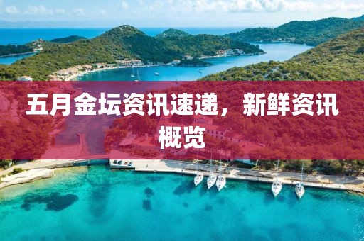 五月金坛资讯速递，新鲜资讯概览