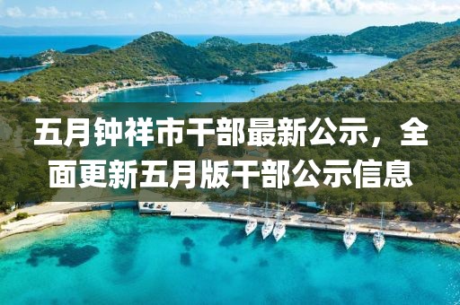 五月钟祥市干部最新公示，全面更新五月版干部公示信息