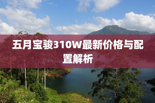 五月宝骏310W最新价格与配置解析