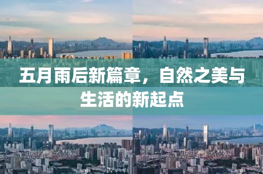 五月雨后新篇章，自然之美与生活的新起点