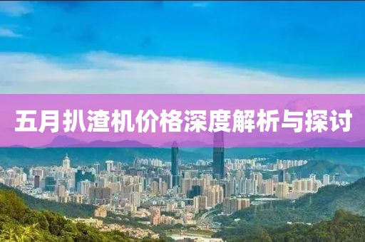 五月扒渣机价格深度解析与探讨