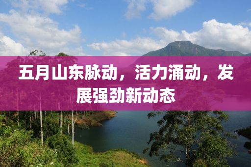 五月山东脉动，活力涌动，发展强劲新动态
