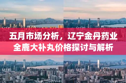 五月市场分析，辽宁金丹药业全鹿大补丸价格探讨与解析