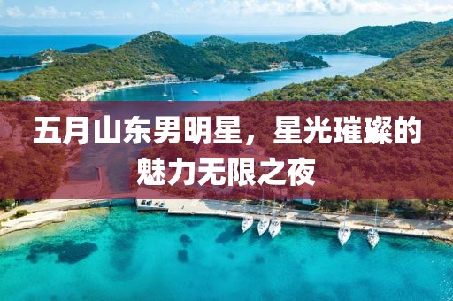五月山东男明星，星光璀璨的魅力无限之夜