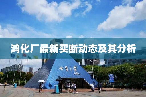 鸿化厂最新买断动态及其分析