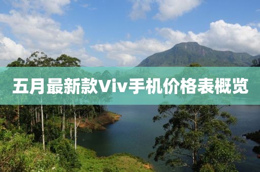 五月最新款Viv手机价格表概览