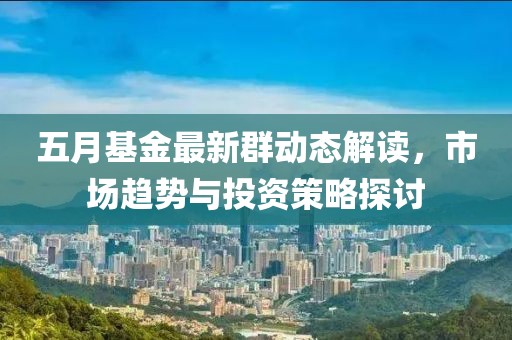 五月基金最新群动态解读，市场趋势与投资策略探讨