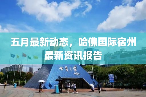 五月最新动态，哈佛国际宿州最新资讯报告