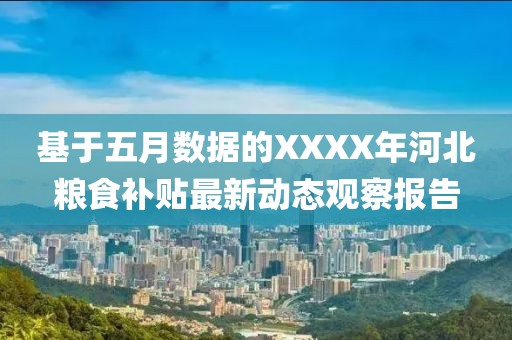 基于五月数据的XXXX年河北粮食补贴最新动态观察报告