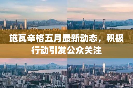 施瓦辛格五月最新动态，积极行动引发公众关注