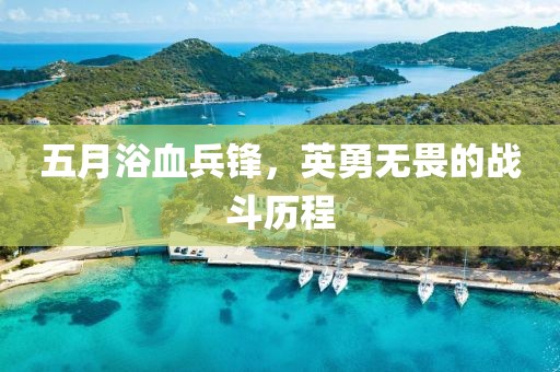 五月浴血兵锋，英勇无畏的战斗历程