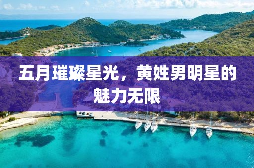 五月璀璨星光，黄姓男明星的魅力无限