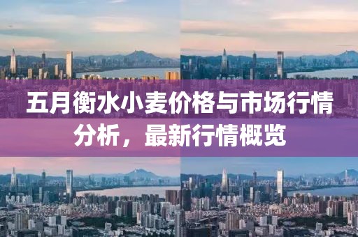 五月衡水小麦价格与市场行情分析，最新行情概览