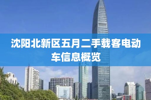 沈阳北新区五月二手载客电动车信息概览