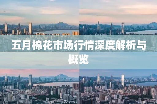 五月棉花市场行情深度解析与概览