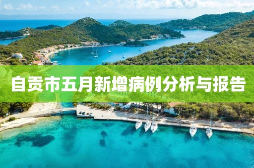 自贡市五月新增病例分析与报告