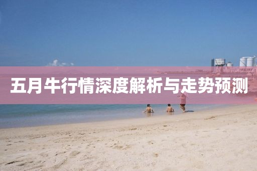 五月牛行情深度解析与走势预测