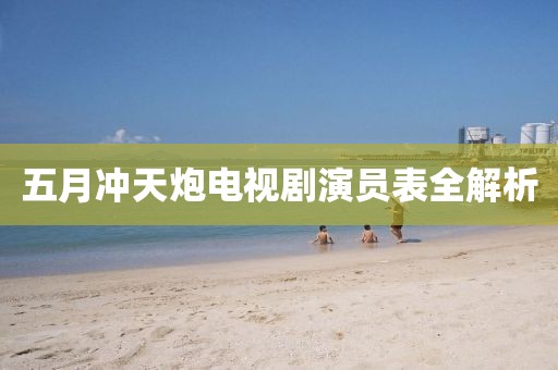五月冲天炮电视剧演员表全解析