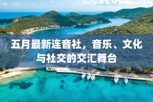 五月最新连音社，音乐、文化与社交的交汇舞台