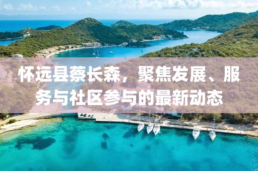 怀远县蔡长森，聚焦发展、服务与社区参与的最新动态